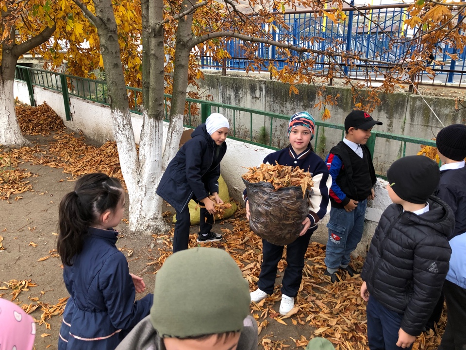 Акция «Красивый город- чистый город».